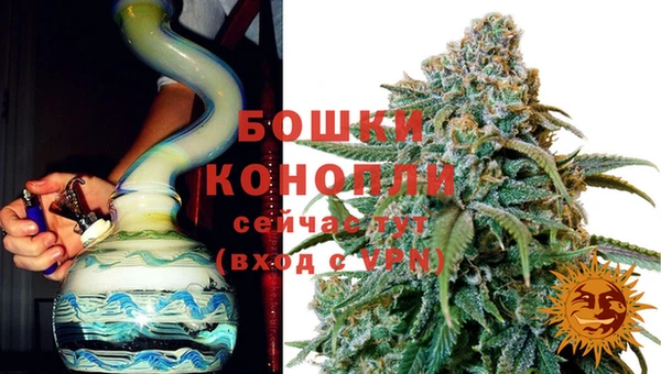 СК Богородск